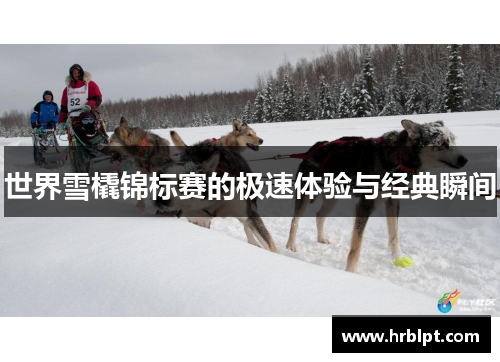 世界雪橇锦标赛的极速体验与经典瞬间